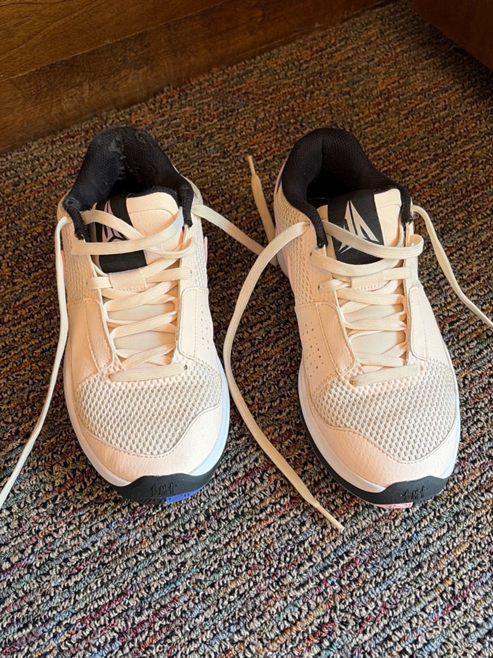 Kyrie low 5 basketball shoes